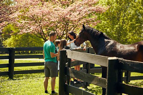 Kentucky Horse Park | Kentucky Tourism - State of Kentucky - Visit Kentucky, Official Site