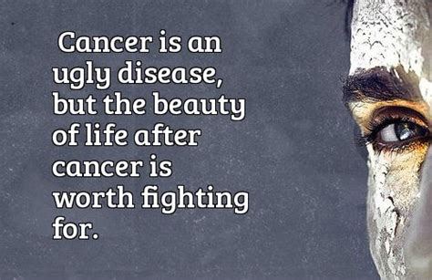 Sometimes we need a boost of inspiration to get us through to tomorrow, or next week, or next year. 50+ Inspirational Beating Cancer Quotes for Fighters