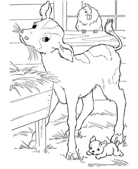 Goat Eating Straw In The Barn In Farm Animal Coloring Page Kids Play Color