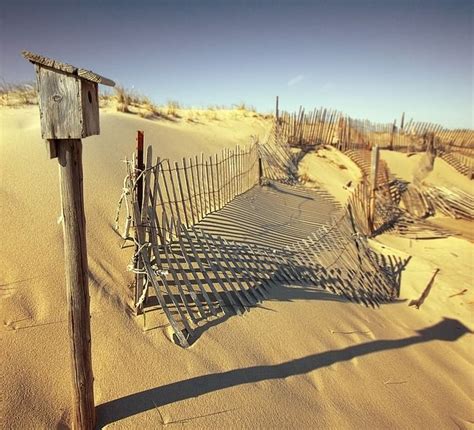 Sandy Neck Beach Framed Wall Art Wall Art Prints Canvas Prints