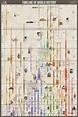 Timeline of World History Poster - Etsy UK | History posters, World ...