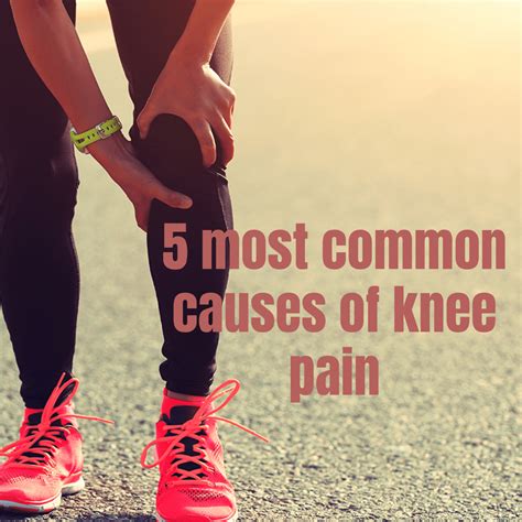5 Most Common Causes Of Knee Pain Lilly Physical Therapy In Edmonds