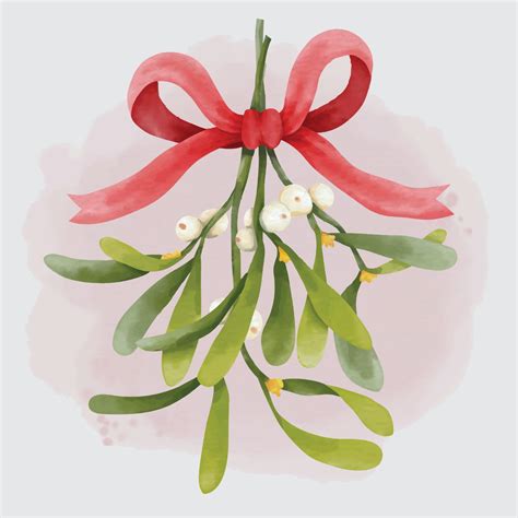 Watercolor Christmas Mistletoe Bouquet 3291749 Vector Art At Vecteezy