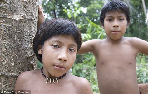 Amazon Images Pictures Of Awá Tribe At Work And Play Daily Mail Online