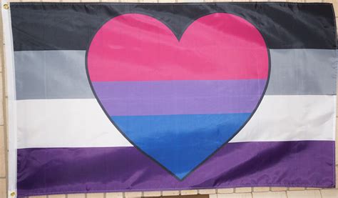 Biromantic Asexual Biace Pride Flag Large X Etsy