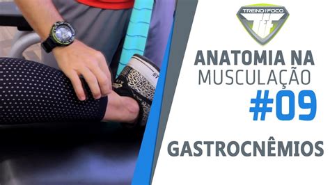 Gastrocnêmios Anatomia Na Musculação 9 Youtube
