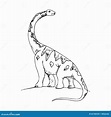 Dibujo Para Colorear Dinosaurio Cuello Largo : Stegosaurus Dinosaur ...