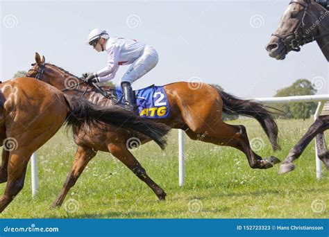 Side View Of Jockey Ulrika Holmquist Riding An Arabian Gallop Race