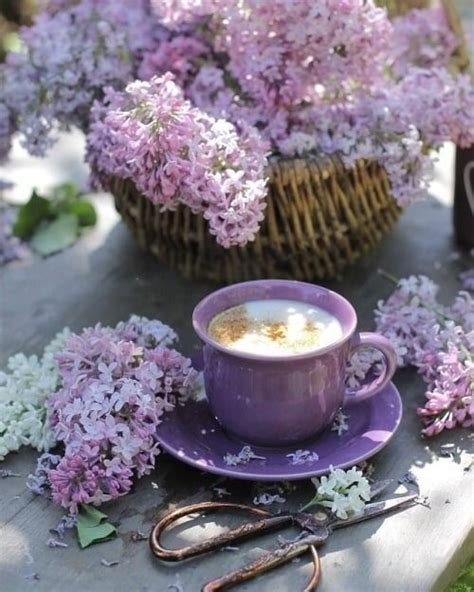 Spring Garden Flowers Blue Purple Lilacs Photo Via Tumblr Coffee