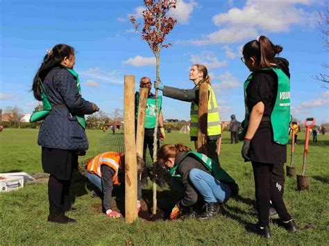 11 Of The Best Tree Planting Charities In The Uk