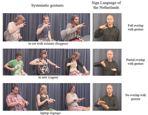 The Role Of Gesture In The Acquisition Of A Sign Language As A Second Language University Of