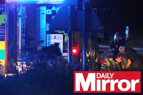 Don Lock, 79 Stabbed to death in Road Rage incident - Mirror Online