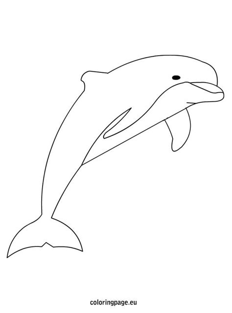 dolphin coloring picture coloring page