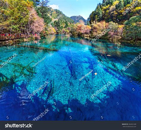 Lake With Submerged Tree Trunks Jiuzhaigou Valley Was Recognize By