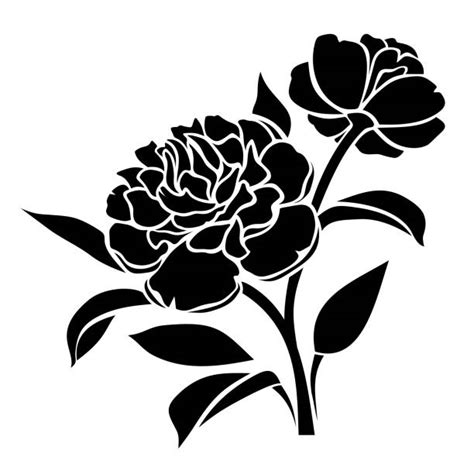 Peony Outline Illustrations Royalty Free Vector Graphics And Clip Art