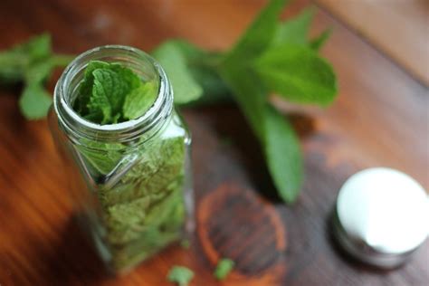 Diy Peppermint Oil Na Da Farm Repels Mosquito And Larva When Camping