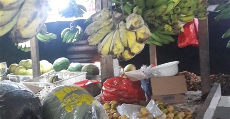 Cody Pet Shop & Grooming di Tangerang Selatan - Alamat & Ulasan | PintarPet