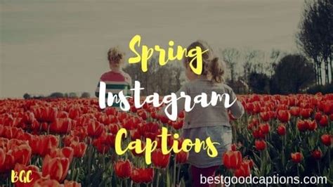 Ultimate List Of 100 Spring Break Captions For Instagram Quotes 2024