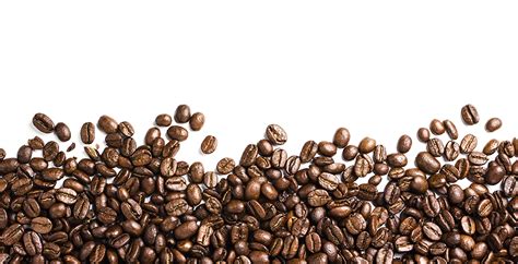 Coffee Bean Iced Coffee Coffee Beans Png Image Png Download 1600