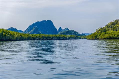 Langkawi is known for its vast geo forests, the kilim karst geoforest park being the most popular one. Kilim Geoforest Park, Langkawi Stock Photo - Image of ...
