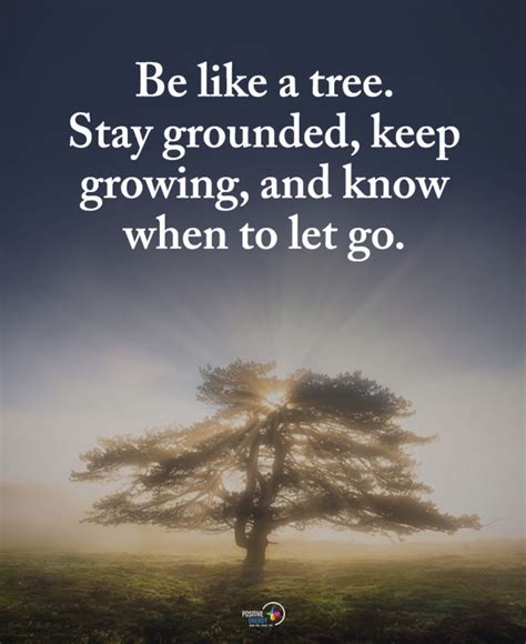 Be Like A Tree Stay Grounded Keep Growing And Know When To Let Go