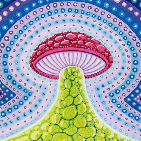 Psychedelic Mushroom Artwork All Mushroom Info