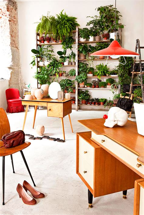 10 Beautiful Indoor Garden For Small Apartment Homemydesign