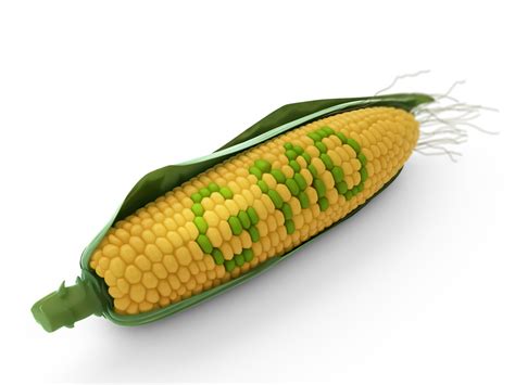 Is Genetically Modified Food Still Nutritious Is It Safe