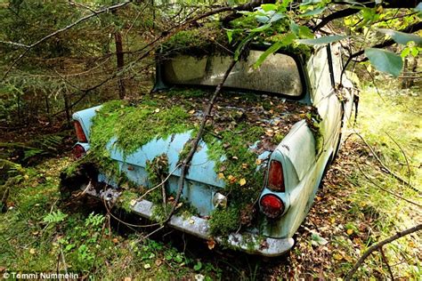 Where Did I Park The Car Man Who Abandoned Vehicle In The Woods 40