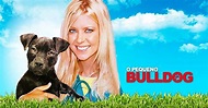 Baby Bulldog - película: Ver online completas en español