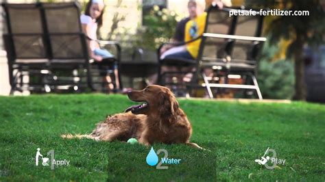 Water the lawn immediately after you discover that an excess of fertilizer has been applied. Pet Safe Lawn Fertilizer - Apply, Water, Play! - YouTube