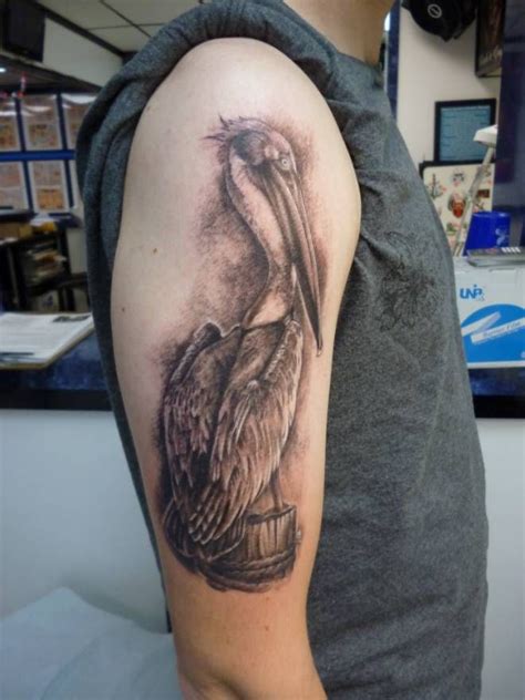 Pelican Tatoo