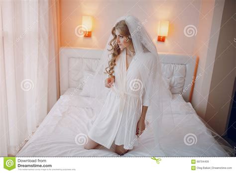 Morning Bride Inside Stock Image Image Of Face Happy 68704409