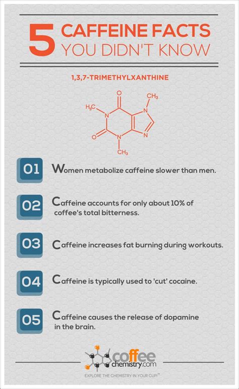 5 Caffeine Facts You Didnt Know In 2023 Facts You Didnt Know Facts