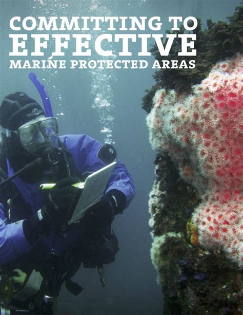 Committing To Effective Marine Protected Areas David Suzuki Foundation