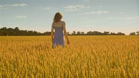 Woman Hand Touching Wheat Field Woman Walking Away In Field Wheat