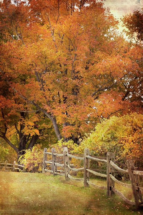 Wooden Fence In Autumn Photograph By Joann Vitali Fine Art America