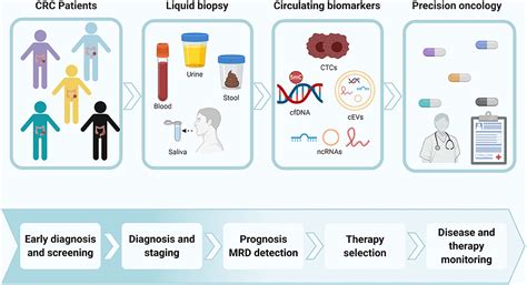 Frontiers Epigenetic Landscape Of Liquid Biopsy In Colorectal Cancer