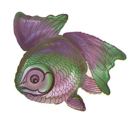 Betta splendens (commonly known as the siamese fighting fish or betta) is a freshwater fish that can be found in cambodia, laos, malaysia, indonesia, thailand, and vietnam. Shape - Betta Fish balloon - Anagram Balloons supplier in ...
