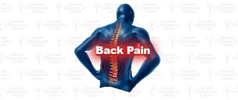 Back Pain What Is It Cascade Chiropractic Center