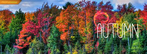 Beautiful Autumn Facebook Covers Pretty Autumn Cover Photos