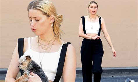 Amber Heard Goes Shopping With Her Yorkshire Terrier In Downtown Los