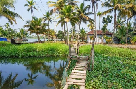 Alleppey Backwaters For Different Budgets Practical Guide