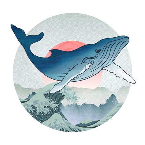 Entry 10 By Qwasoff For Whale Design For Commercial Use Freelancer