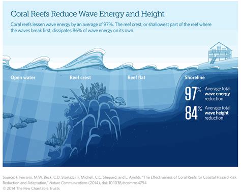 Coral Reefs Reduce Wave Energy And Height The Pew Charitable Trusts