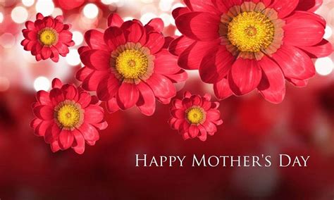 Sultan muhammad v of kelantan. Happy Mother's Day Flowers Image