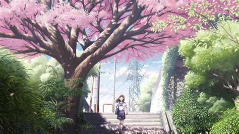 Anime Tree Wallpapers On Wallpaperdog