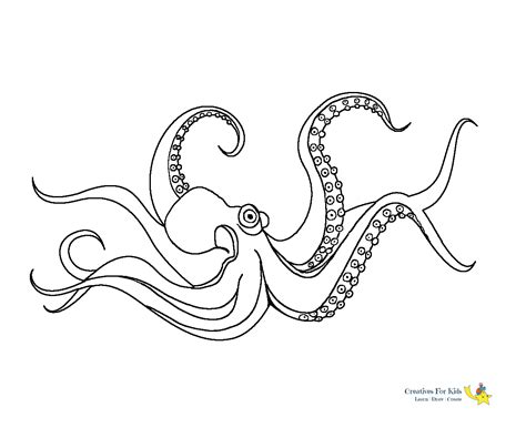 Https://tommynaija.com/coloring Page/adult Coloring Pages Octopus Free