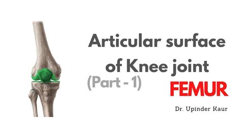 Articular Surface Of Knee Joint Part 1 Femur Youtube