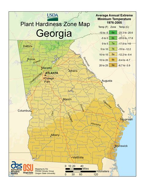 When To Plant In Georgia